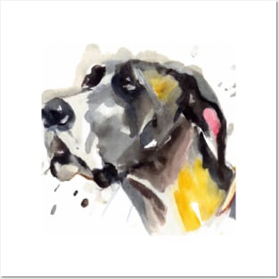 Great Dane Watercolor - Gift For Dog Lovers Posters and Art